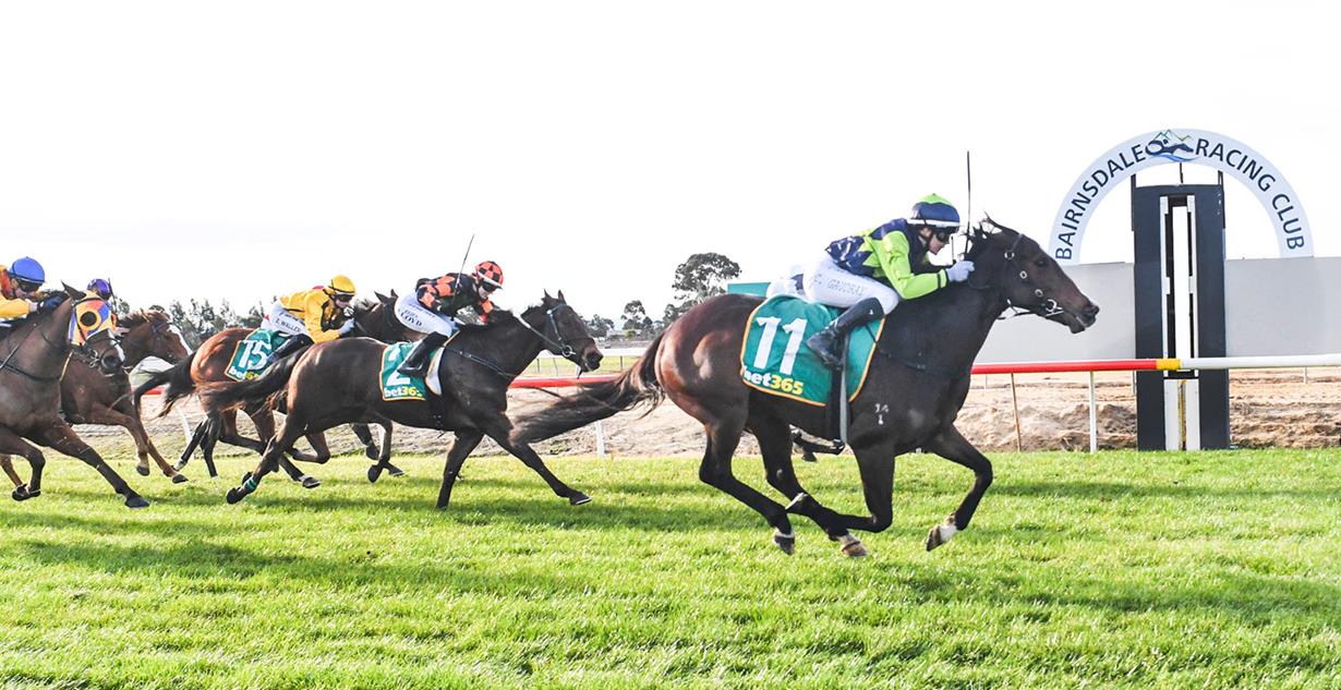 Stahnado - Bairnsdale 21st July 2025